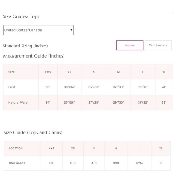 Free People Wild Bunch Thong Bodysuit In Cinnamon Rose NWT - Picture 7 of 8